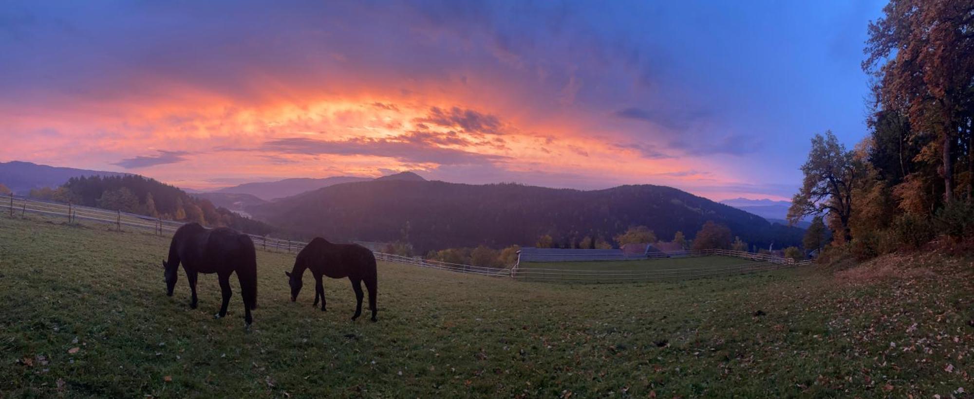 Little Farm Apartments Feldkirchen in Kärnten المظهر الخارجي الصورة