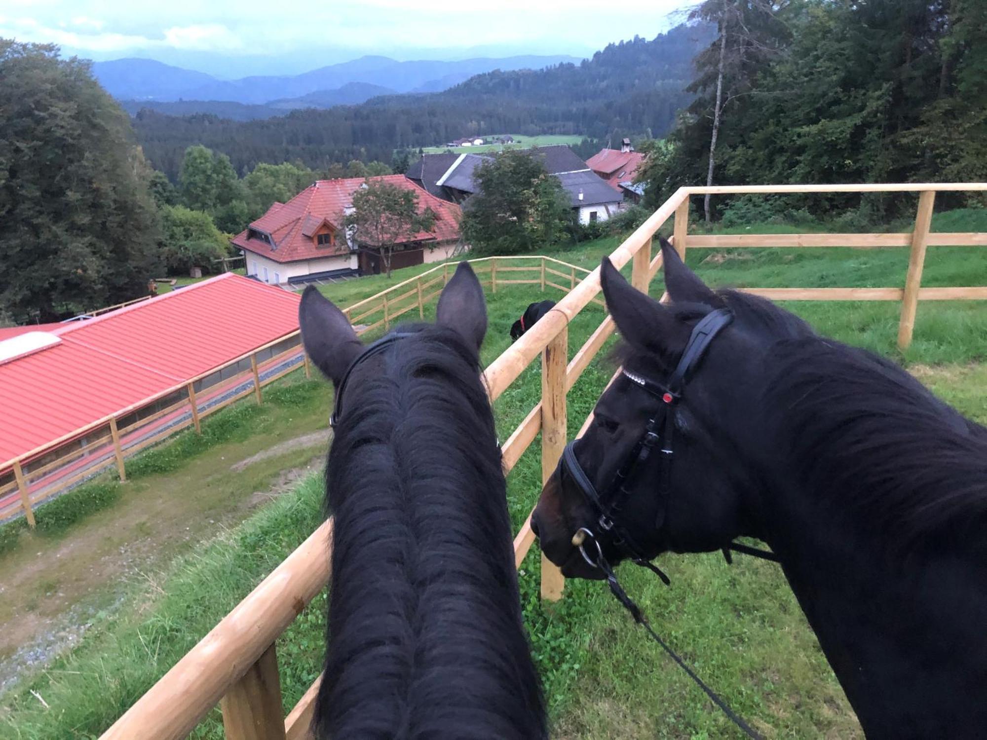 Little Farm Apartments Feldkirchen in Kärnten المظهر الخارجي الصورة