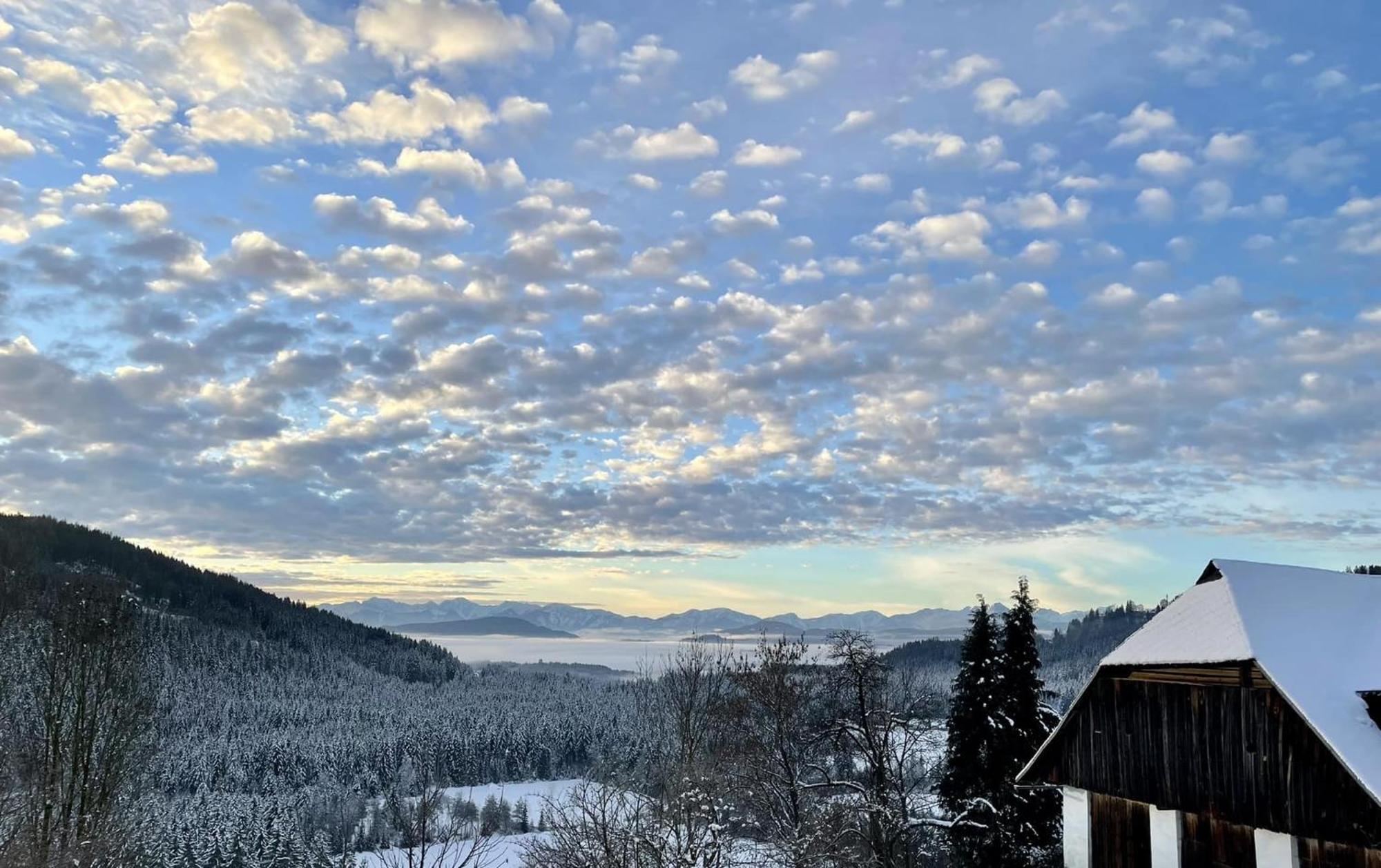 Little Farm Apartments Feldkirchen in Kärnten المظهر الخارجي الصورة