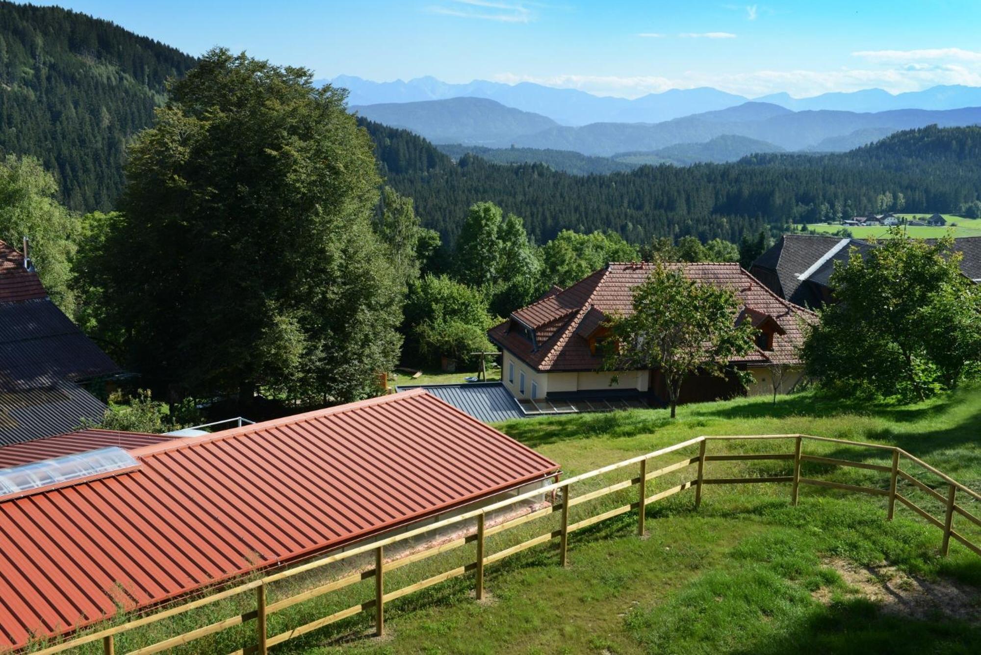 Little Farm Apartments Feldkirchen in Kärnten المظهر الخارجي الصورة